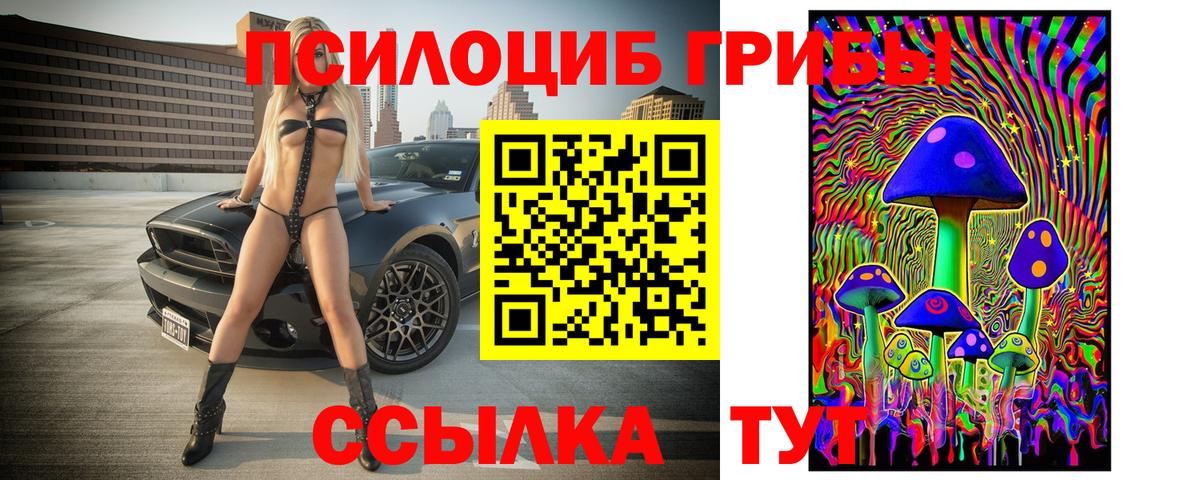 Галлюциногенные грибы Cubensis Борисоглебск