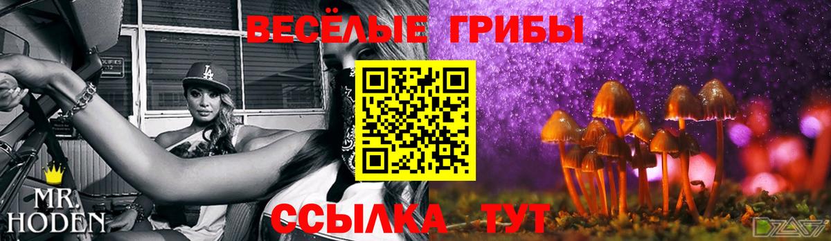 где купить   Вход с VPN  Борисоглебск  Псилоцибиновые грибы ЛСД  Галлюциногенные грибы мухоморы 